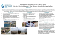 Water quality sampling taken at Bruce Beach