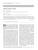 Florida's mystery wreck