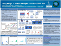 Using phage to detect phospho-tau at position 217