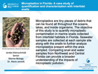 Microplastics in Florida: A case study of quantification and characterization with intertidal snails