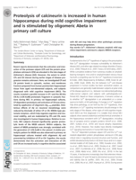 Proteolysis of calcineurin is increased in human hippocampus during mild cognitive impairment and is stimulated by oligomeric Abeta in primary cell culture