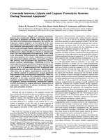 Cross-talk between calpain and caspase proteolytic systems during neuronal apoptosis