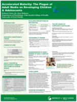 Accelerated maturity: the plague of adult media on developing children & adolescents