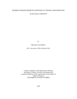 Sediment Biogeochemistry Response to Stingray Bioturbation in Halodule Wrightii