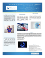 Spring 2021 HIP with a virtual literature review experience with an RN-BSN student