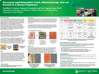 Surveying Lipid-Dependent Yeast, Malassezia spp. that are Present in a Human Population