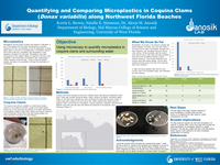 Quantifying and Comparing Microplastics in Coquina Clams (Donax variabilis) along Northwest Florida Beaches