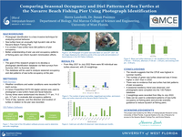 Comparing Seasonal Occupancy and Diel Patterns of Sea Turtles at the Navarre Beach Fishing Pier Using Photograph Identification
