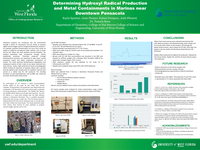 Determining Hydroxyl Radical Production and Metal Containments in Marinas near Downtown Pensacola