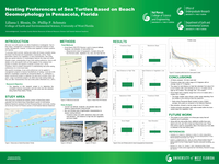 Nesting Preferences of Sea Turtles Based on Beach Geomorphology in Pensacola, Florida