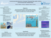 Inventorying elasmobranchs in the lower Pensacola Bay system utilizing environmental DNA metabarcoding