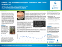 Creating a site pine tree chronology for University of West Florida campus west