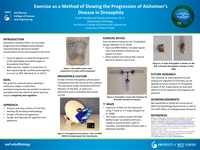 Exercise as a method of slowing the progression of Alzheimer's Disease in Drosophila