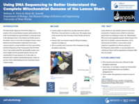 Using DNA Sequencing to Better Understand the Complete Mitochondrial Genome of the Lemon Shark
