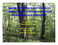 Spatial Variability in Soil Microbial Communities in a Nitrogen-Saturated Hardwood Forest Watershed