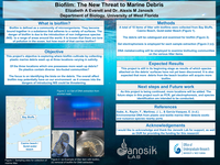 Biofilm: The New Threat to Marine Debris