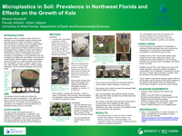 Microplastics in Soil: Identifying Their Prevalence in Northwest Florida and Their Effects on the Growth of Kale