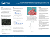 Microbial Analysis of a Bosque Environment in Northwest Florida