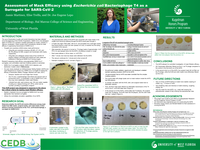 Assessment of Mask Efficacy using Escherichia coli Bacteriophage T4 as a Surrogate for SARS-CoV-2