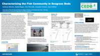 Characterizing the Fish Community in Seagrass Beds