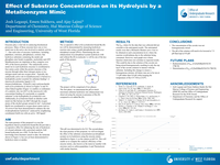 Effect of Substrate Concentration on its Hydrolysis by a Metalloenzyme Mimic