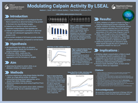Modulating Calpain Activity By LSEAL