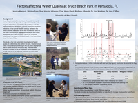 Factors affecting Water Quality at Bruce Beach Park in Pensacola, FL