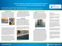 Hypoxia influence on predator and prey interactions between Beroe ovata and Mnemiopsis leidyi