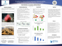 Keep your Friends close and your Anemones Closer: Combative Interactions between Aiptasia pallida Individuals in a Controlled Environment