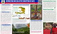 Reforesting Our Collective Perception of Haiti: How New Data Challenges Widely-accepted Narratives of Haiti's Tree Coverage