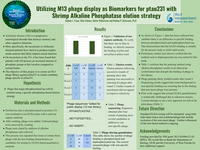 Utilizing M13 phage display as Biomarkers for ptau231 with Shrimp Alkaline Phosphatase elution strategy