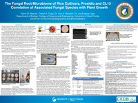 The Fungal Root Microbiome of Rice Cultivars, Presidio and CL151: Correlation of Associated Fungal Species with Plant Growth