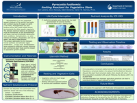 Pyrocystis fusiformis: Limiting reactant for vegetative state