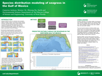 Species distribution modeling of seagrass in the Gulf of Mexico