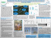Enumerating Total Bacteria and Iron-oxidizing Bacteria in Waters of Julian Mill Creek: A Potentially Important Habitat for the Florida Bog Frog