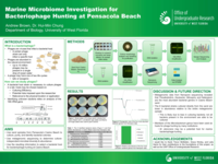 Marine Microbiome Investigation for Bacteriophage Hunting at Pensacola Beach