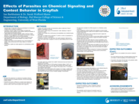 Effects of Parasites on Chemical Signaling and Contest Behavior in Crayfish