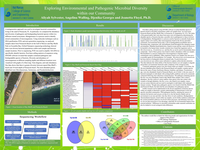 Exploring Environmental and Pathogenic Microbial Diversity within our Community