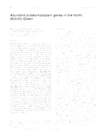 Abundant proteorhodopsin genes in the North Atlantic Ocean