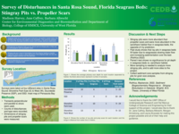 Survey of Disturbances in Santa Rosa Sound, Florida Seagrass Beds: Stingray Pits vs  Propeller Scars