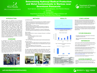 Determining Hydroxyl Radical Production and Metal Containments in Marinas near Downtown Pensacola