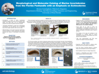 Morphological and Molecular Catalog of Marine Invertebrates from the Florida Panhandle with an Emphasis on Echinoderms