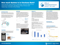 How much Quinine is in Cinchona Bark?
