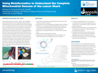 Using Bioinformatics to Understand the Complete Mitochondrial Genome of the Lemon Shark
