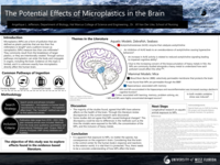 The Potential Effects of Microplastics in the Brain