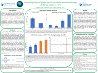 Identifying bacterial phage specific to calpain-mediated cleavage of the tau protein in-vitro