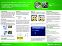 Biocides Effective Against Lipid- Dependent Yeast and Dermatophytic Molds Associated with Human Skin