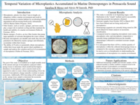 Temporal Variation of Microplastics Accumulated in Marine Demosponges in Pensacola Sound