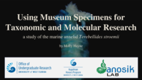 Using Museum Specimens for Taxonomic and Molecular Research