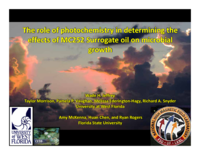 The role of photochemistry in determining the effects of MC252 Surrogate oil on microbial growth